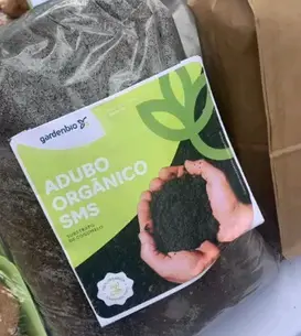 Screenshot 2026-01-09 185306.webp